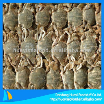 sale promotion frozen mud crab